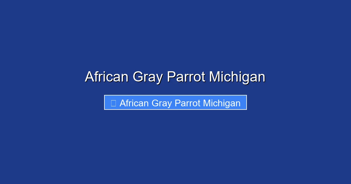 African Gray Parrot Michigan