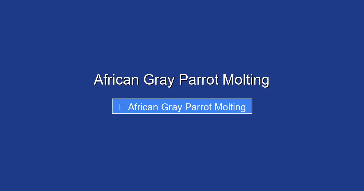 African Gray Parrot Molting