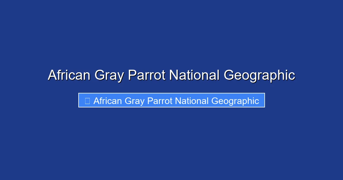African Gray Parrot National Geographic