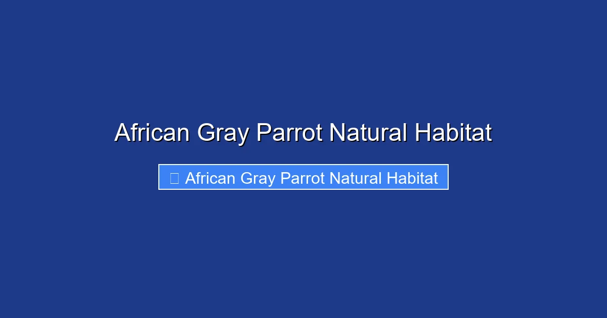 African Gray Parrot Natural Habitat