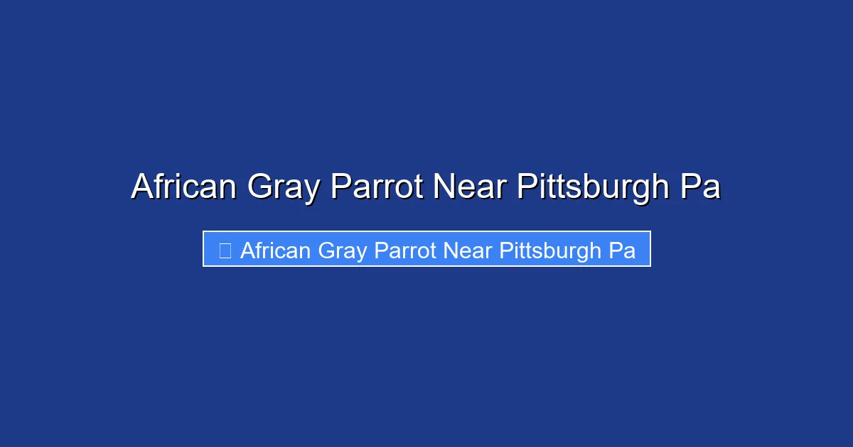 African Gray Parrot Near Pittsburgh Pa