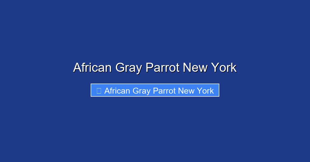 African Gray Parrot New York
