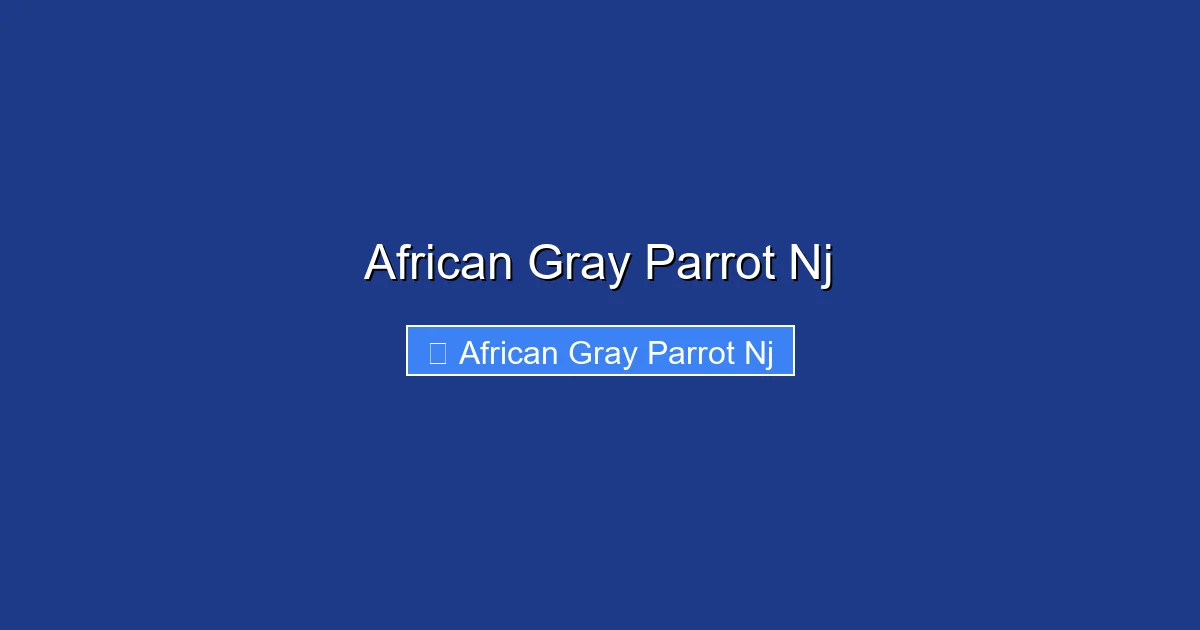 African Gray Parrot Nj