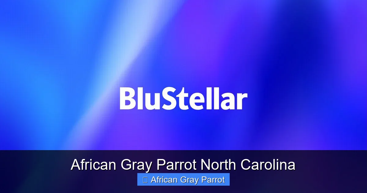 African Gray Parrot North Carolina