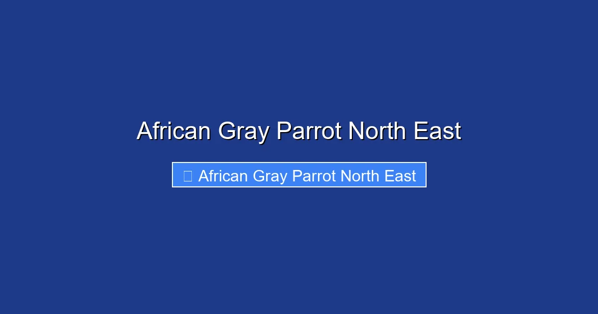 African Gray Parrot North East