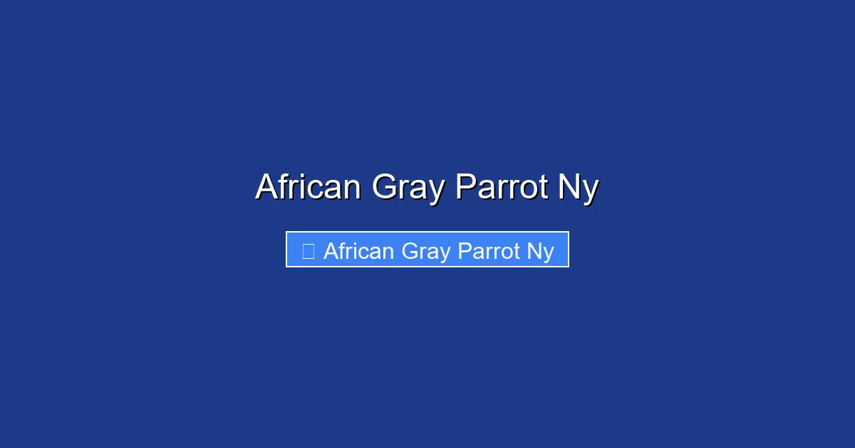 African Gray Parrot Ny