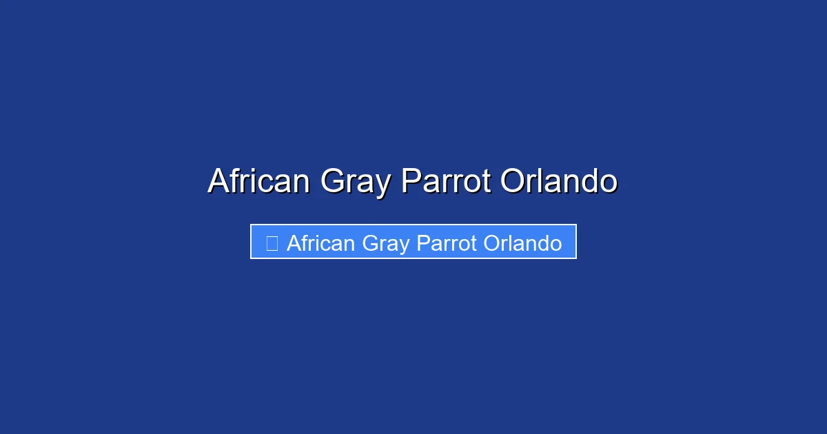 African Gray Parrot Orlando