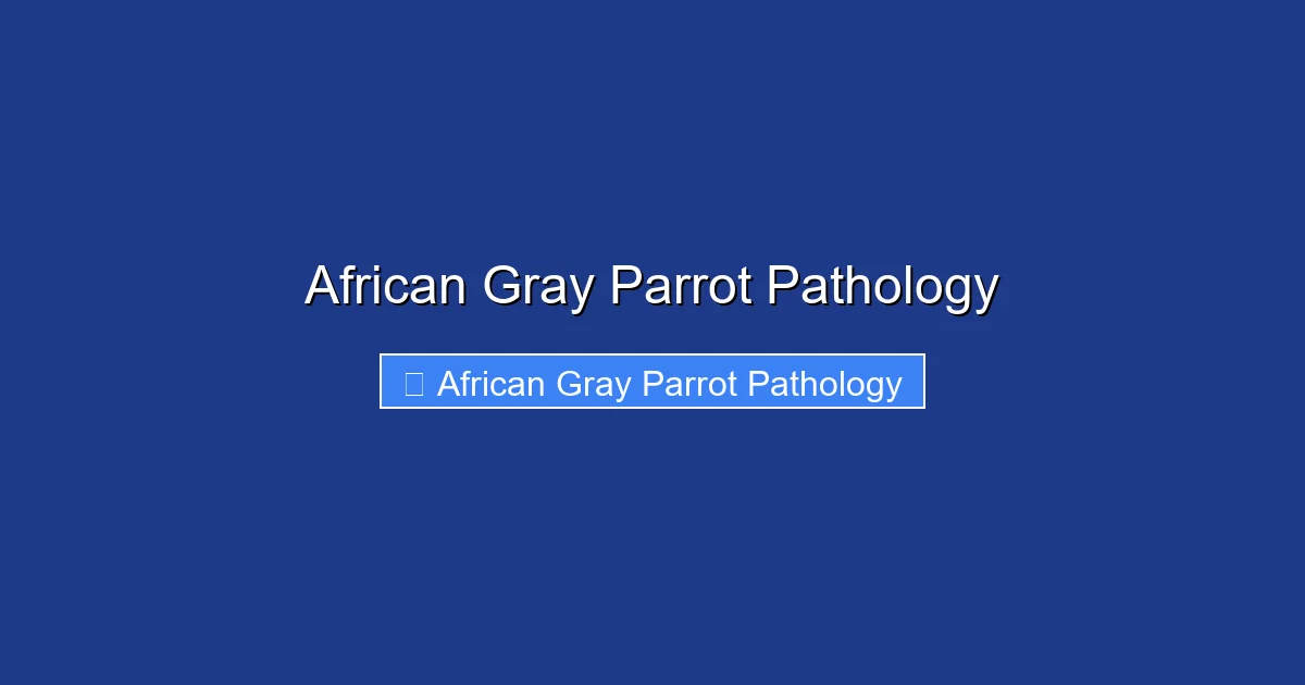 African Gray Parrot Pathology