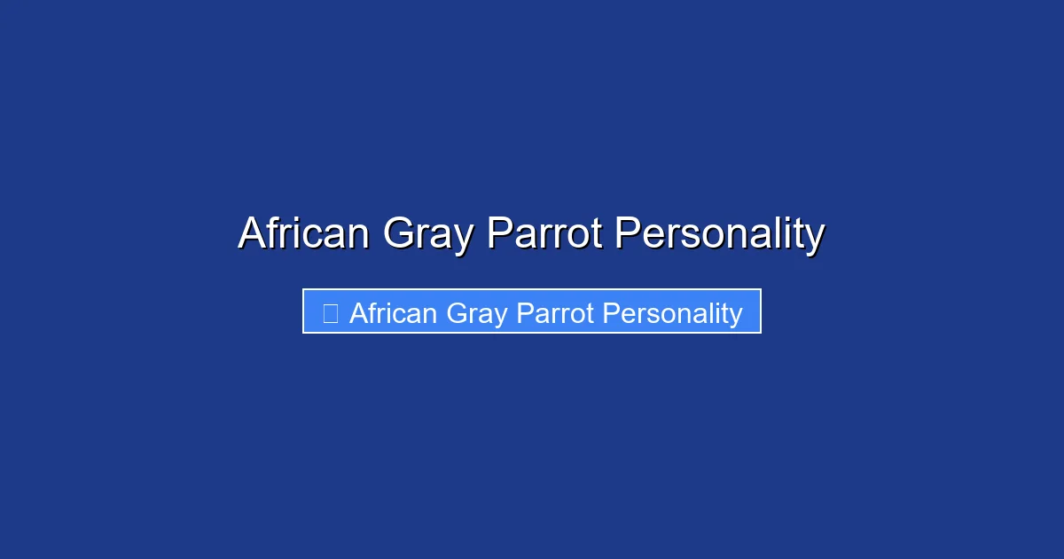 African Gray Parrot Personality