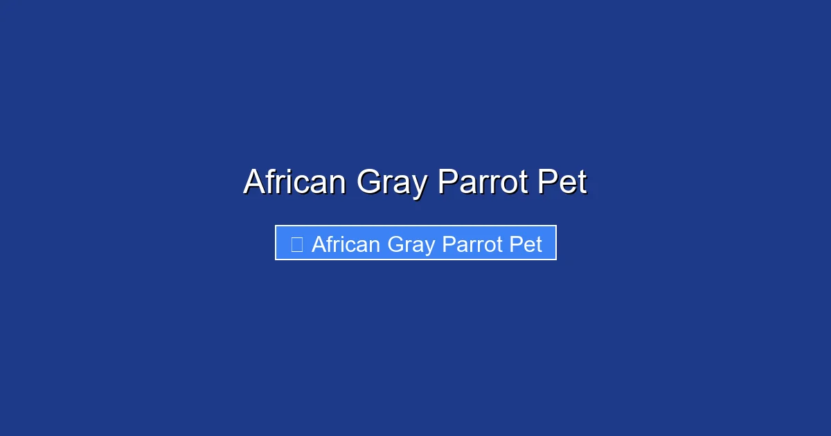 African Gray Parrot Pet