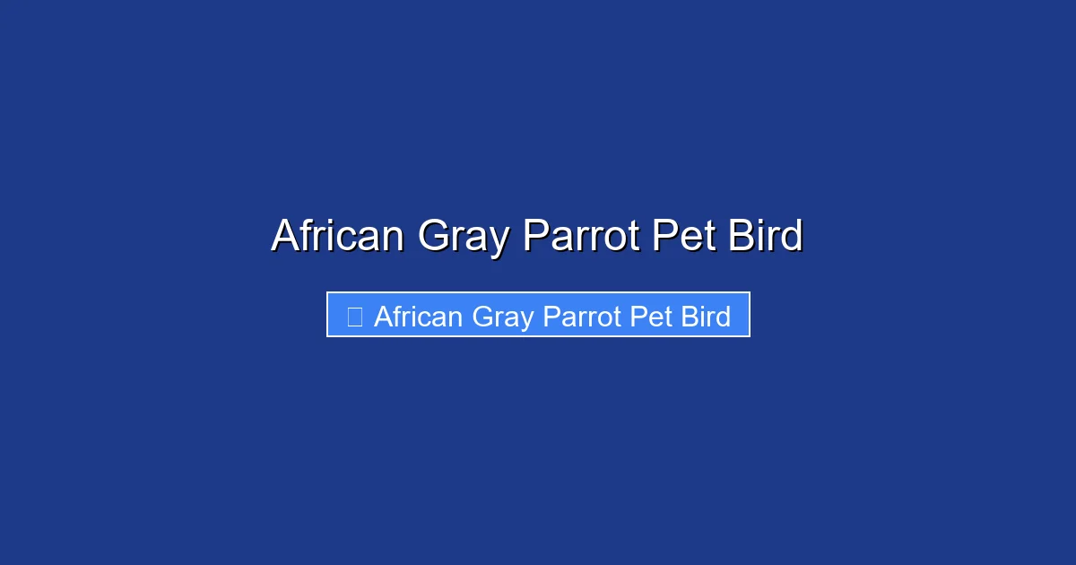 African Gray Parrot Pet Bird