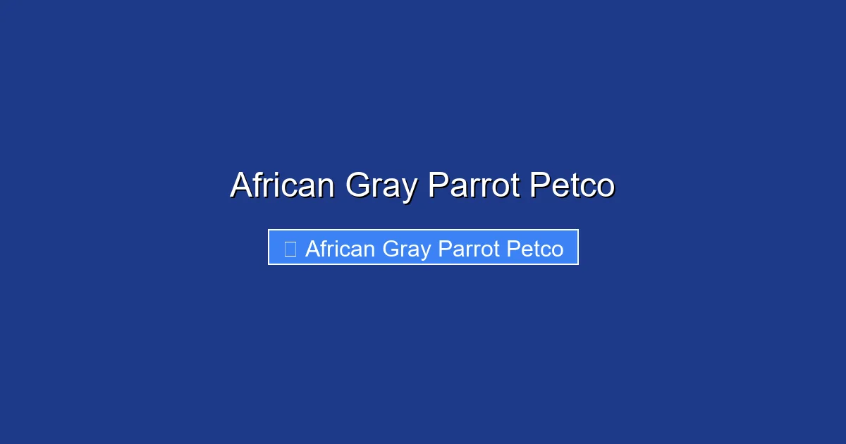 African Gray Parrot Petco