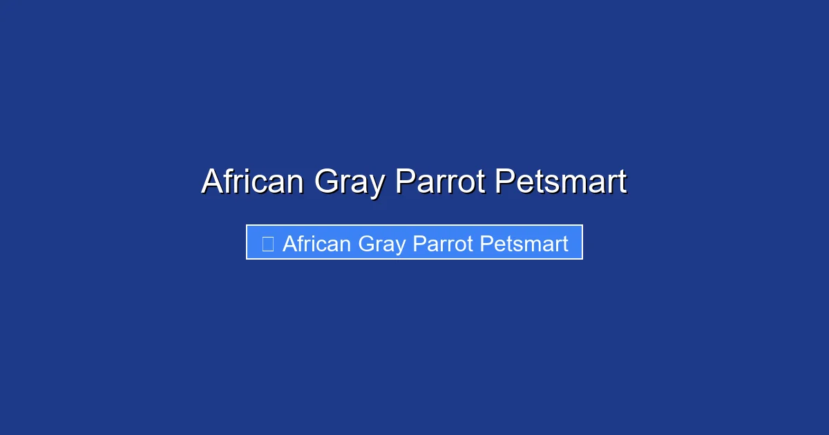 African Gray Parrot Petsmart
