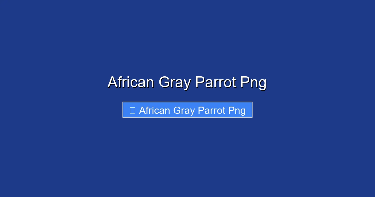 African Gray Parrot Png