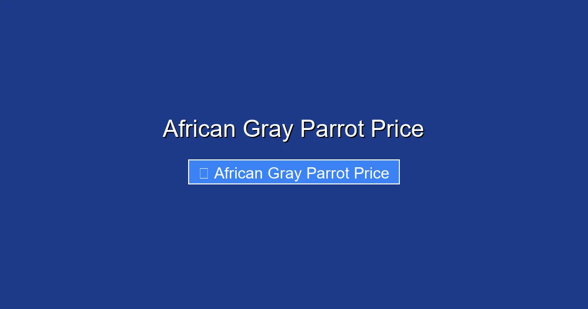 African Gray Parrot Price