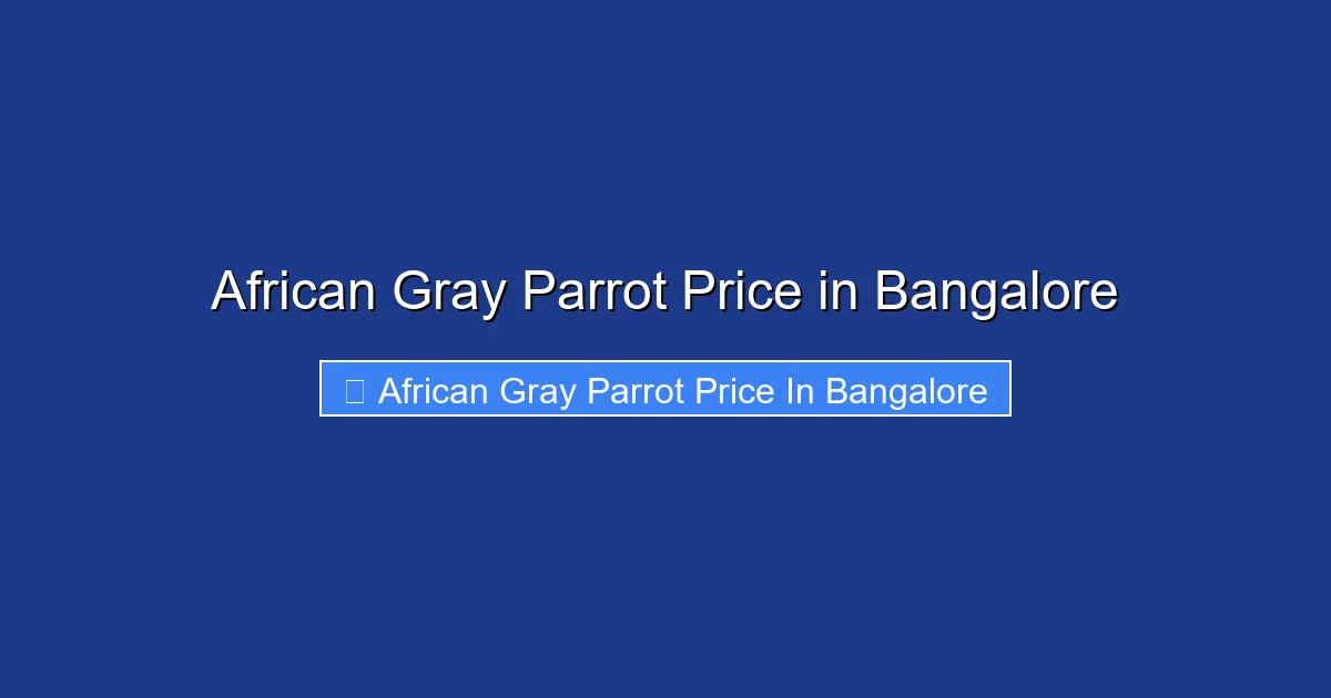African Gray Parrot Price in Bangalore