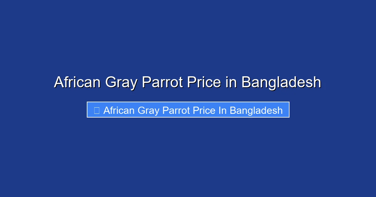 African Gray Parrot Price in Bangladesh