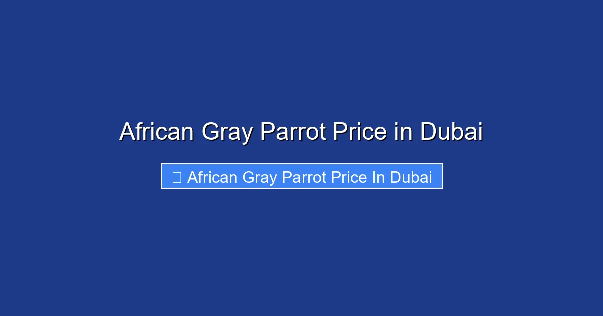 African Gray Parrot Price in Dubai