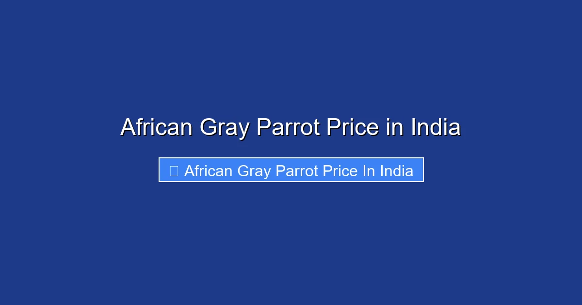 African Gray Parrot Price in India