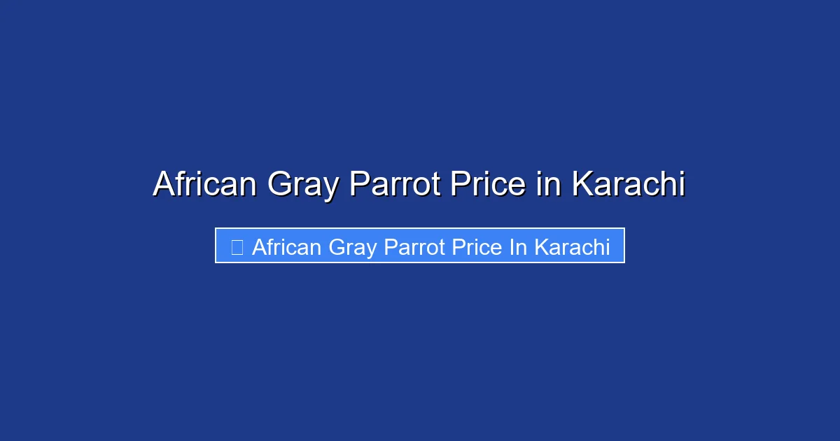 African Gray Parrot Price in Karachi