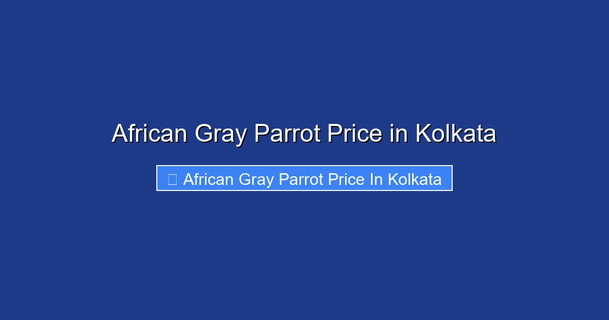 African Gray Parrot Price in Kolkata