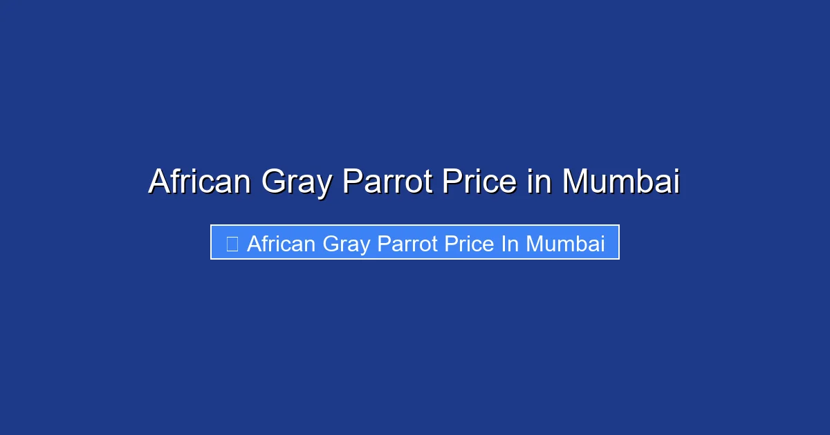 African Gray Parrot Price in Mumbai