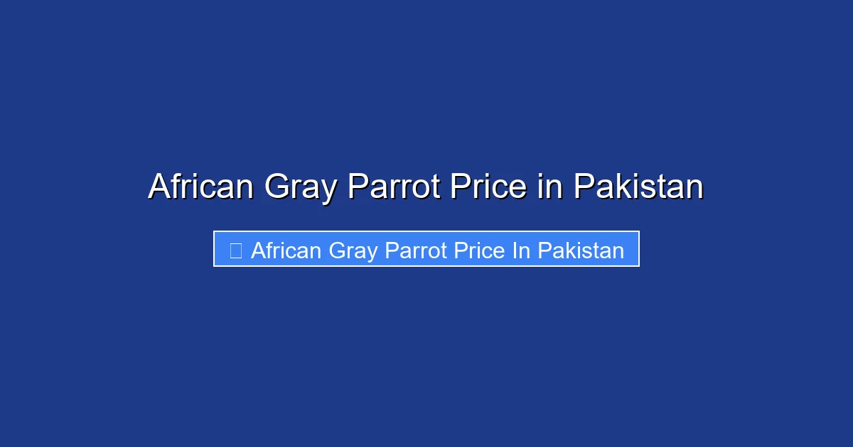 African Gray Parrot Price in Pakistan