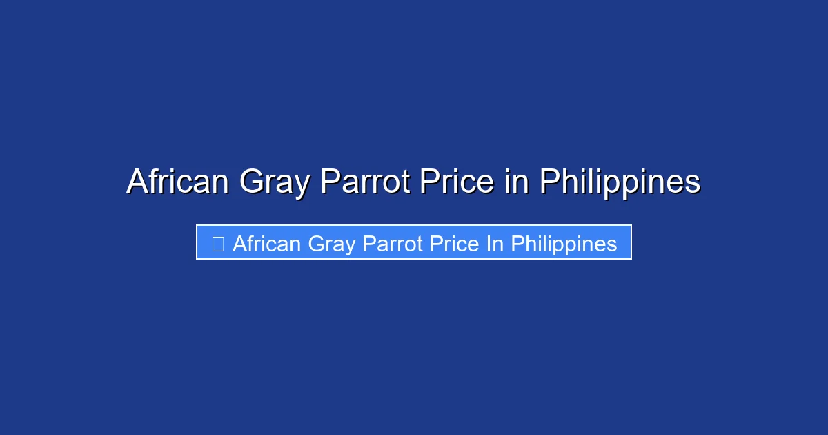 African Gray Parrot Price in Philippines