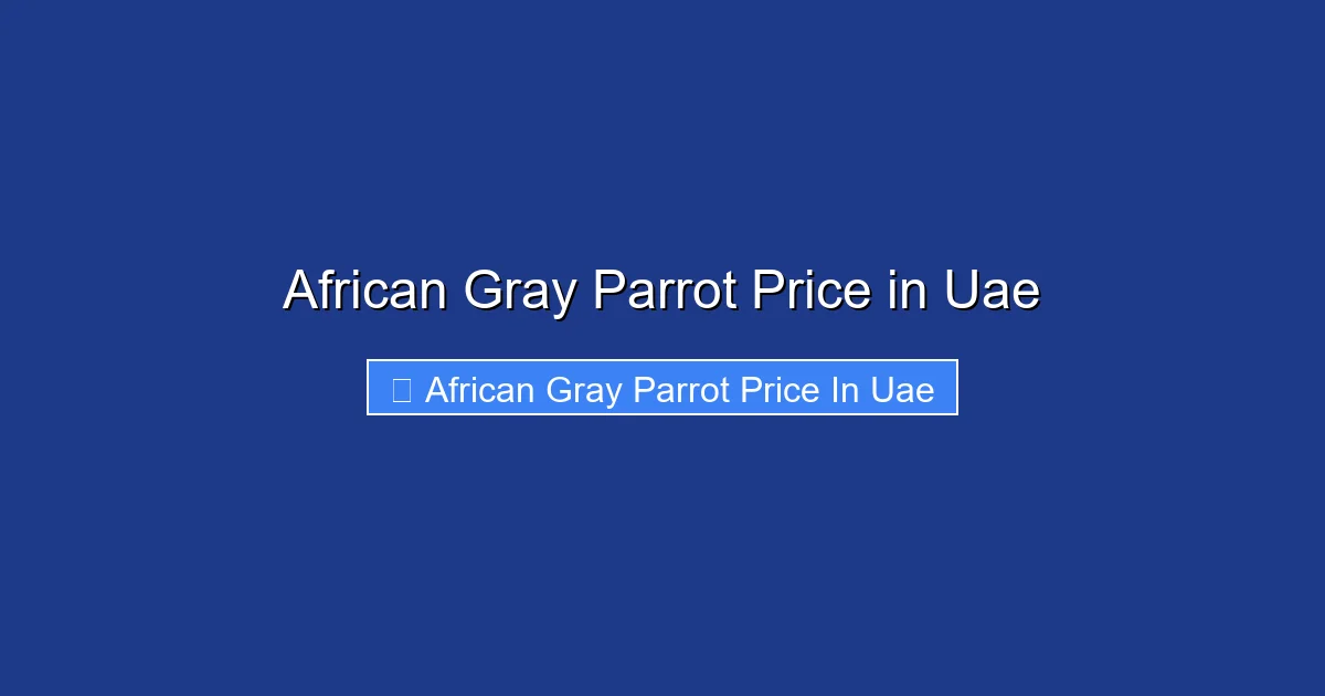 African Gray Parrot Price in Uae