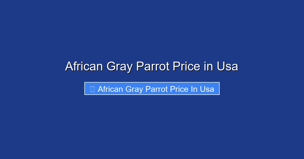 African Gray Parrot Price in Usa