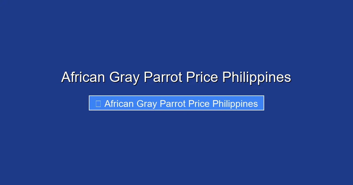 African Gray Parrot Price Philippines