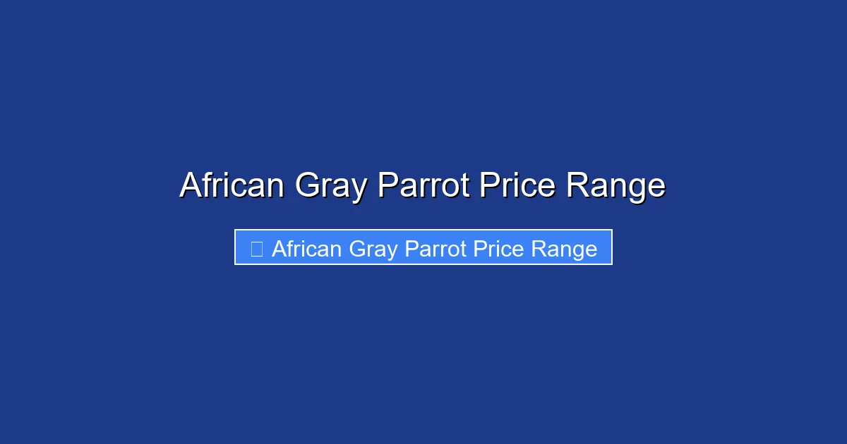 African Gray Parrot Price Range