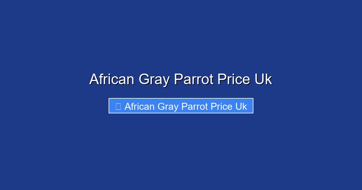 African Gray Parrot Price Uk