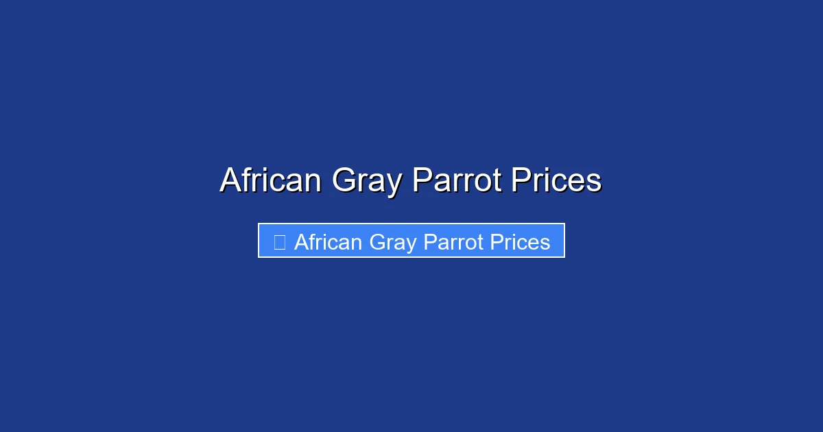 African Gray Parrot Prices