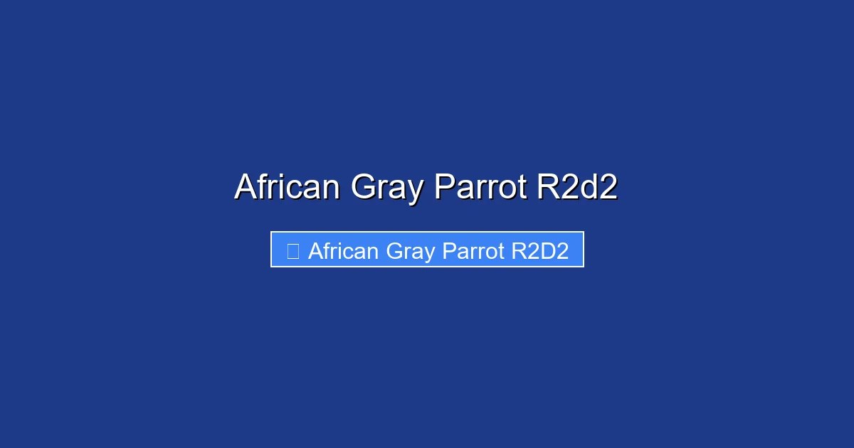 African Gray Parrot R2d2