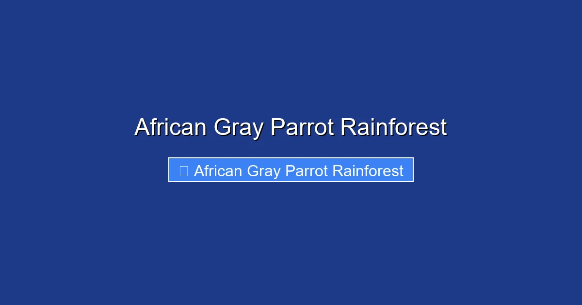 African Gray Parrot Rainforest