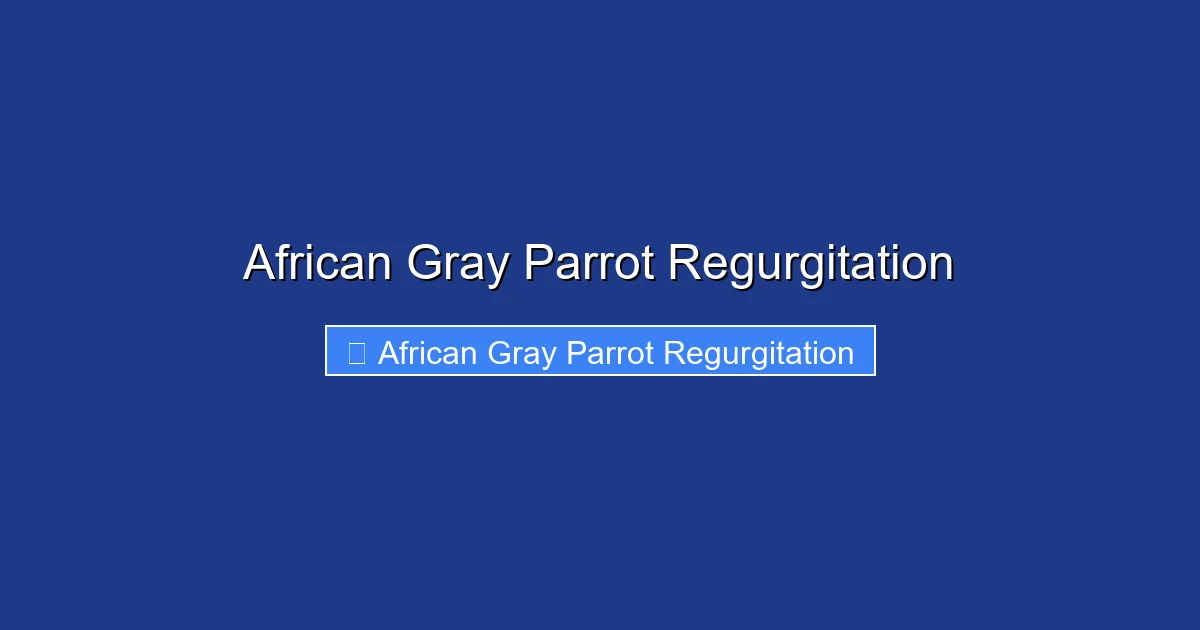 African Gray Parrot Regurgitation