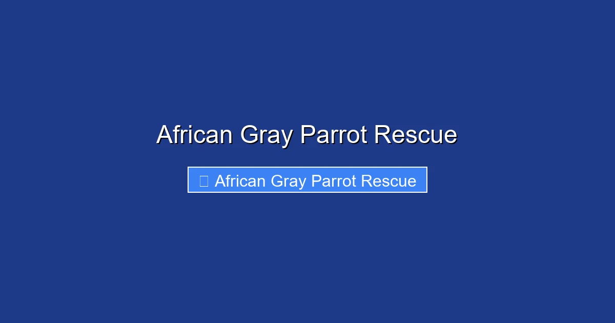 African Gray Parrot Rescue