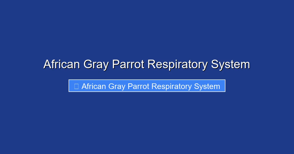 African Gray Parrot Respiratory System