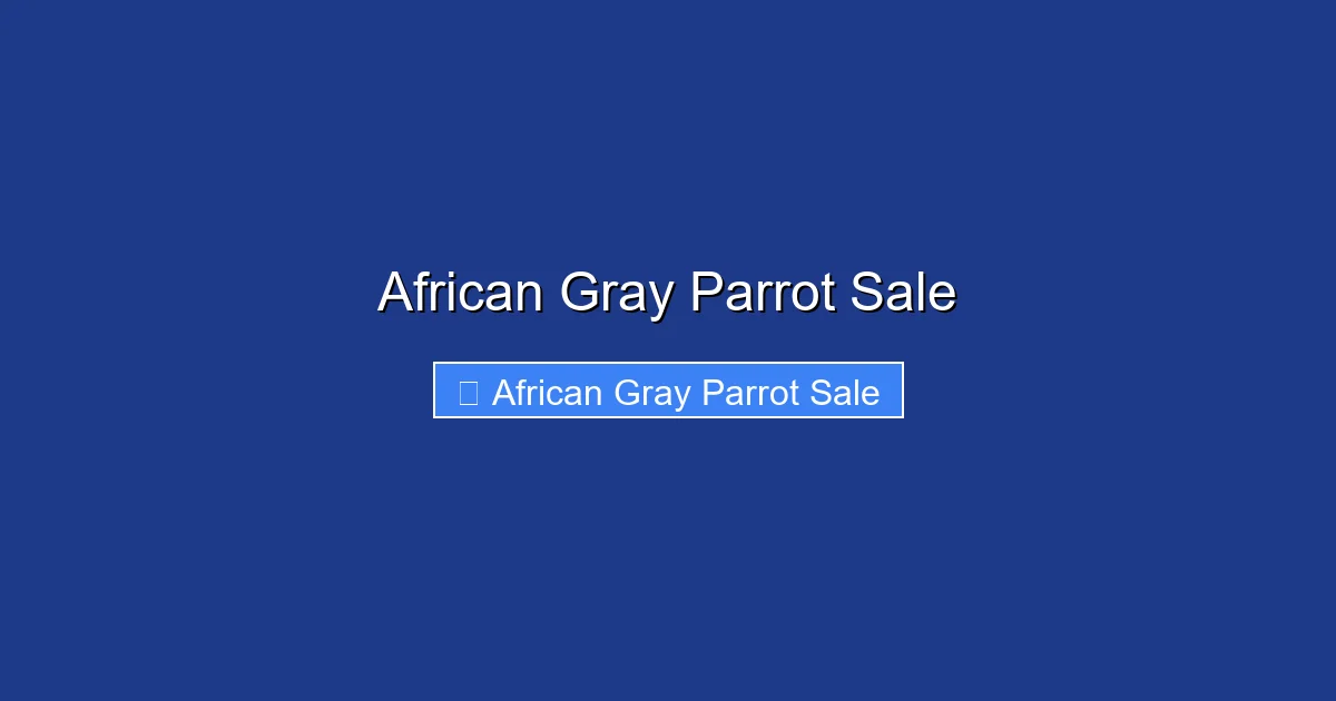 African Gray Parrot Sale