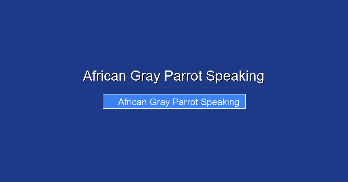 African Gray Parrot Speaking