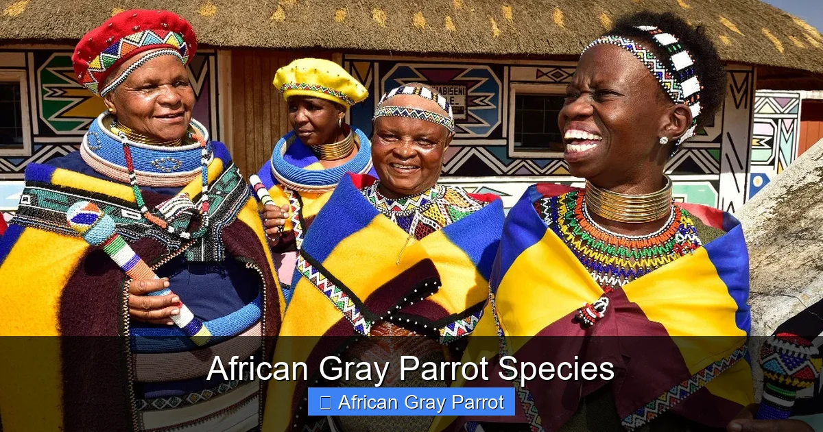 African Gray Parrot Species