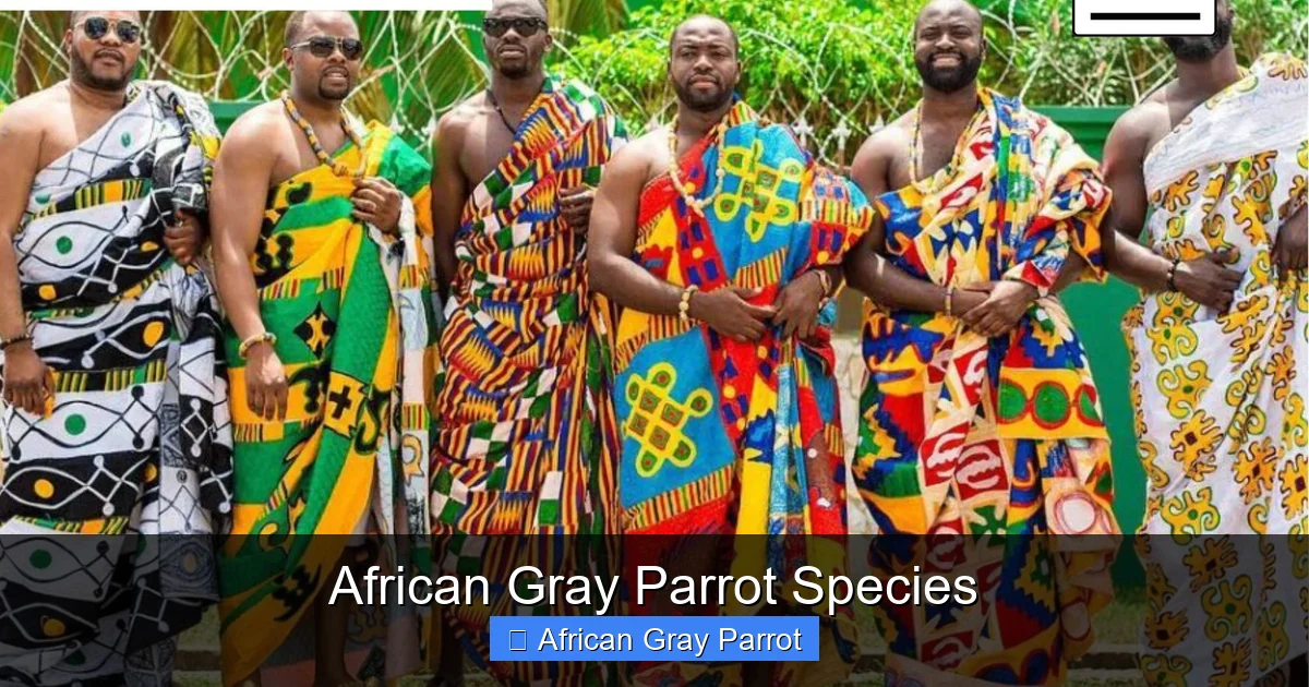 African Gray Parrot Species