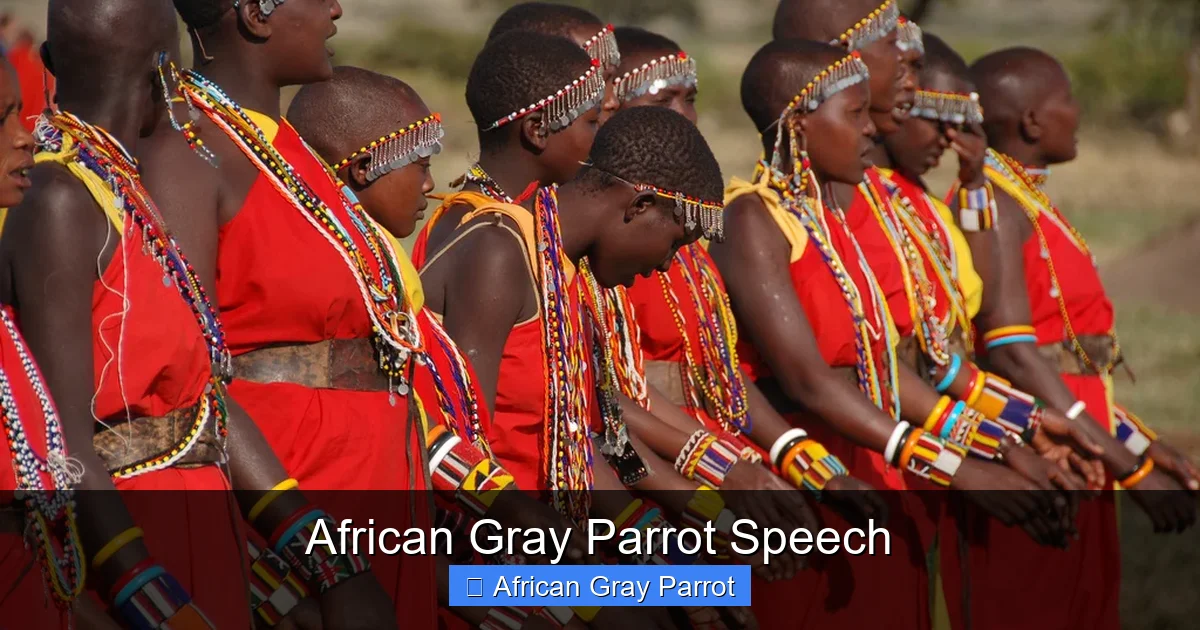 African Gray Parrot Speech