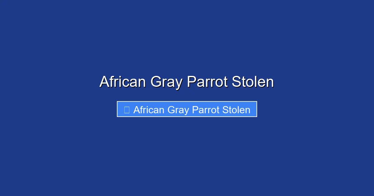 African Gray Parrot Stolen