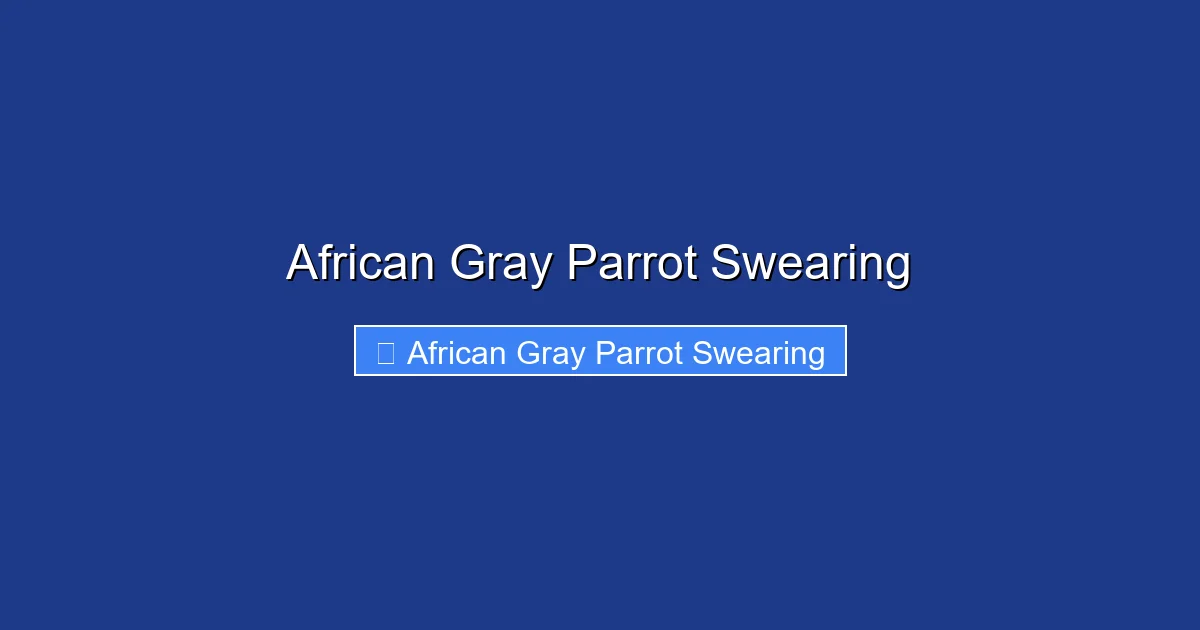 African Gray Parrot Swearing