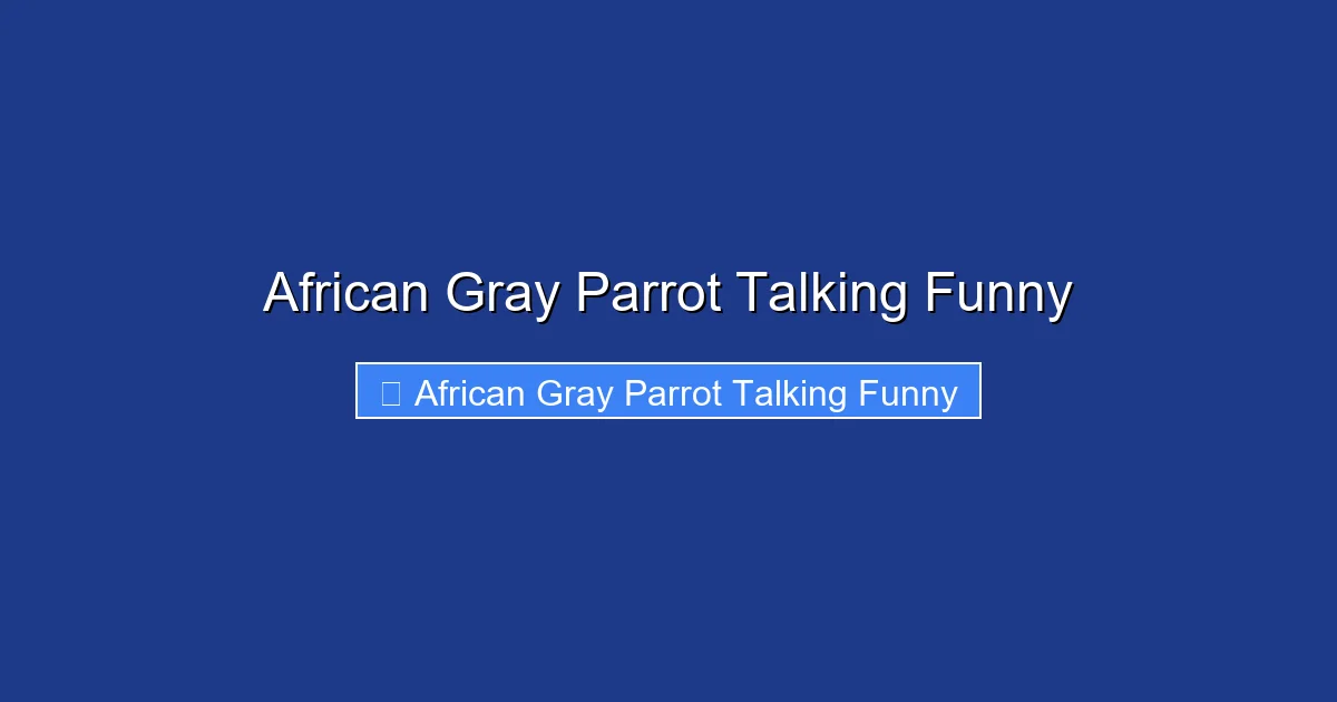 African Gray Parrot Talking Funny