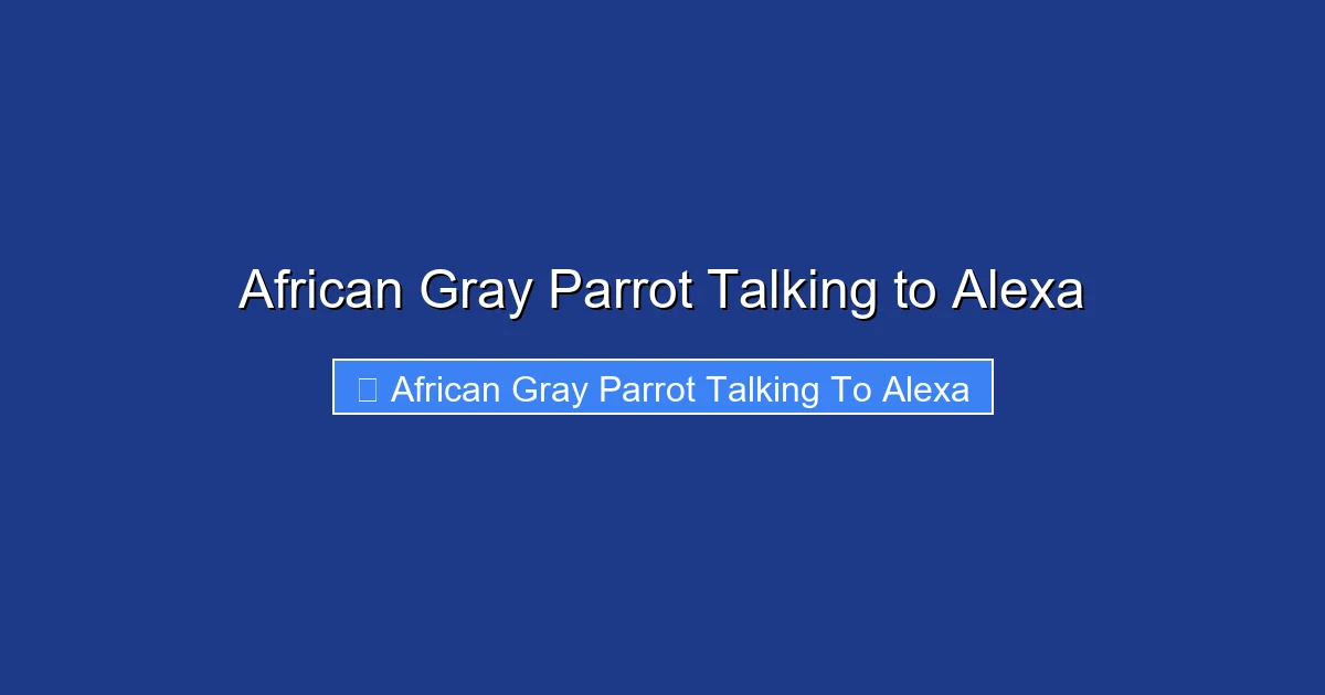 African Gray Parrot Talking to Alexa
