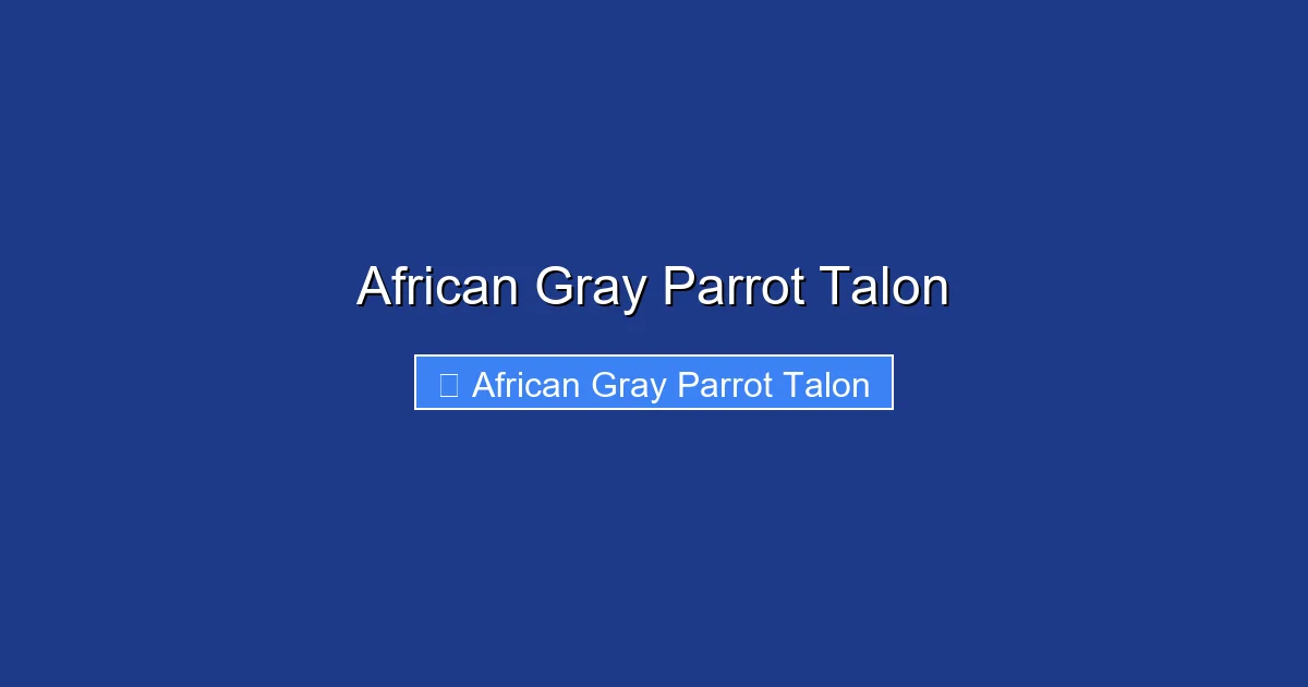 African Gray Parrot Talon
