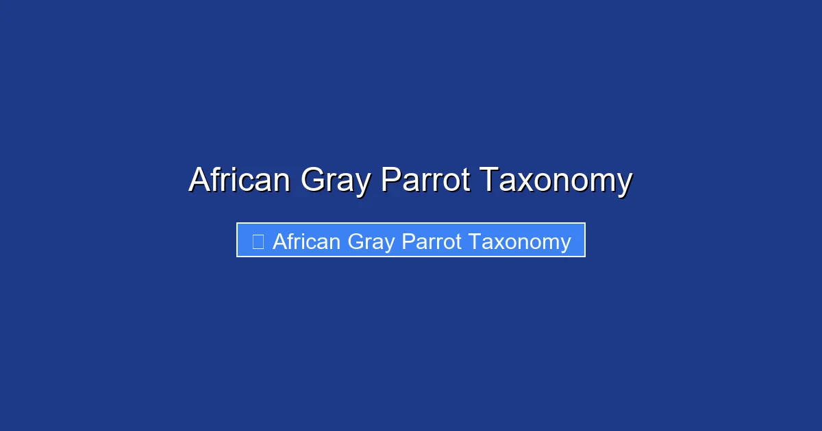 African Gray Parrot Taxonomy